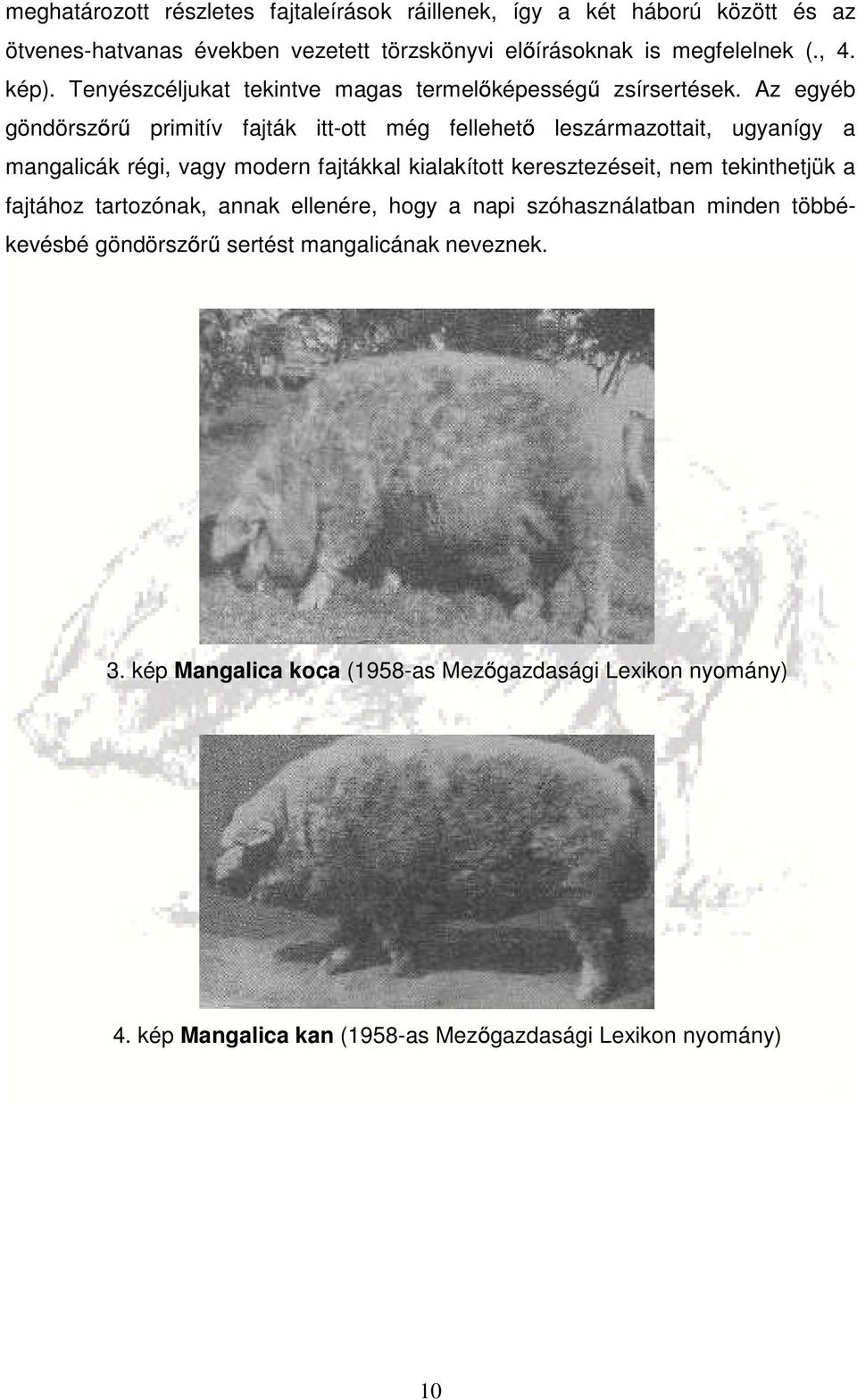 Az egyéb göndörszőrű primitív fajták itt-ott még fellehető leszármazottait, ugyanígy a mangalicák régi, vagy modern fajtákkal kialakított keresztezéseit, nem