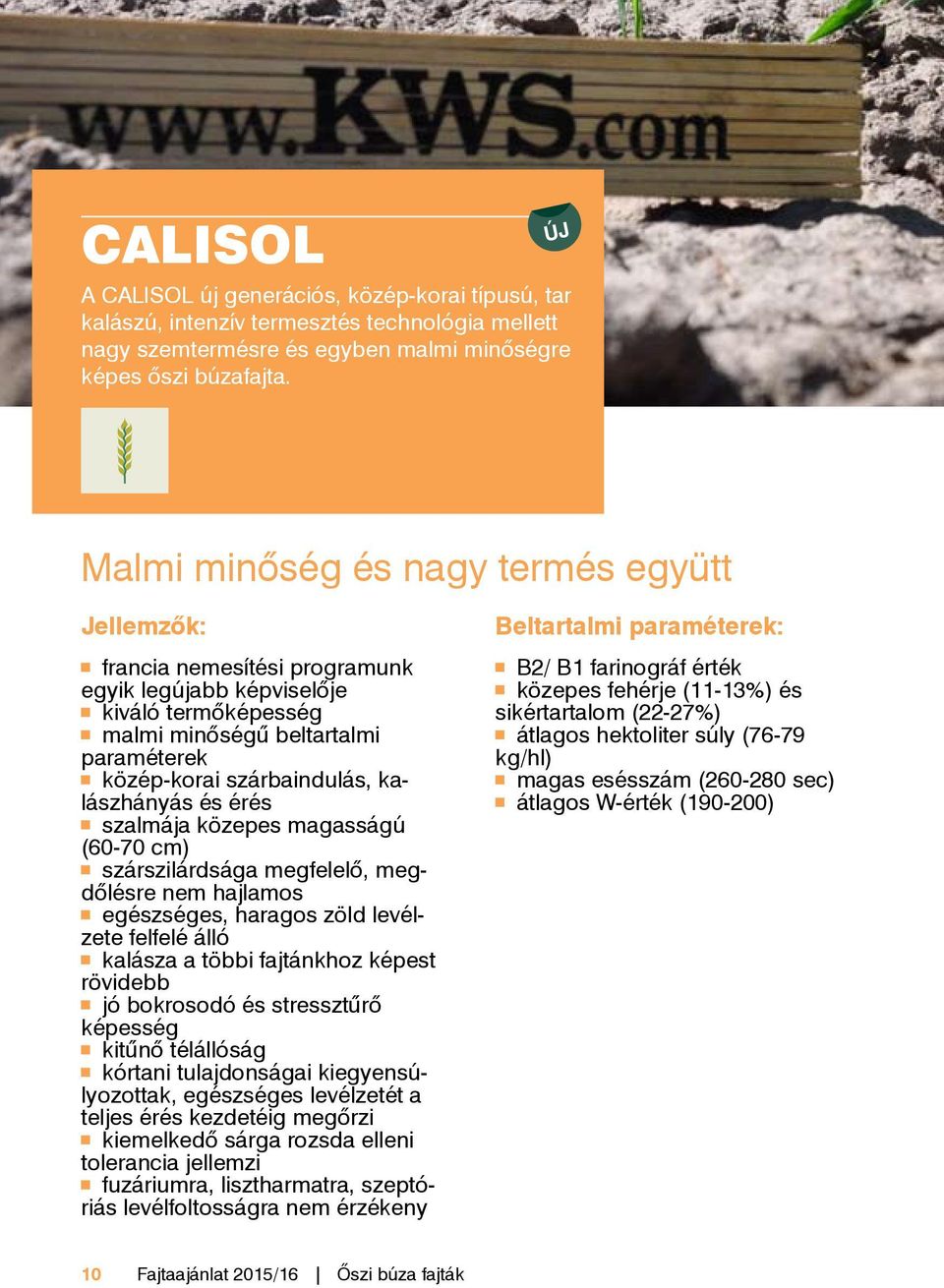 érés szalmája közepes magasságú (60-70 cm) szárszilárdsága megfelelő, megdőlésre nem hajlamos egészséges, haragos zöld levélzete felfelé álló kalásza a többi fajtánkhoz képest rövidebb jó bokrosodó