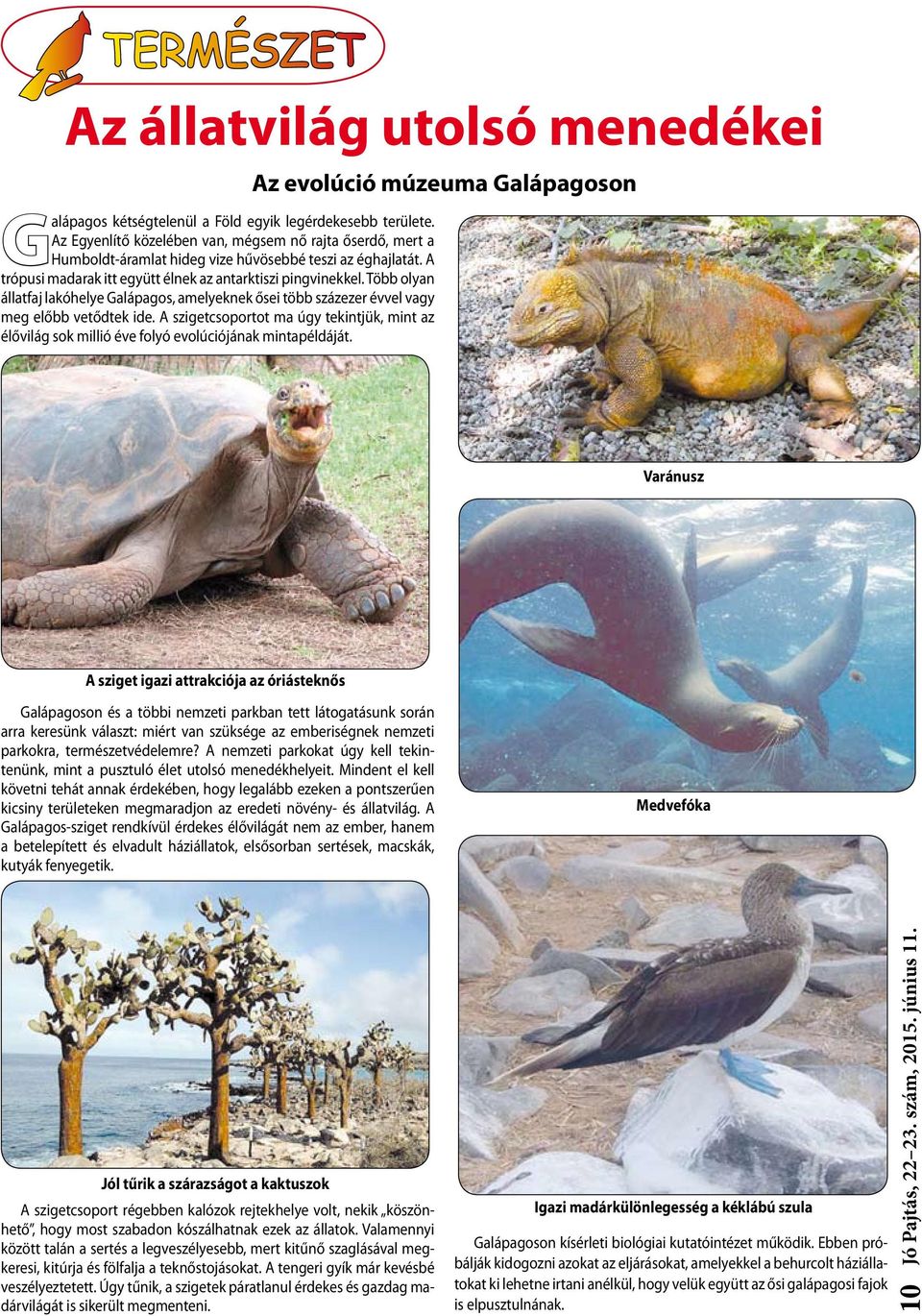Több olyan állatfaj lakóhelye Galápagos, amelyeknek ősei több százezer évvel vagy meg előbb vetődtek ide.