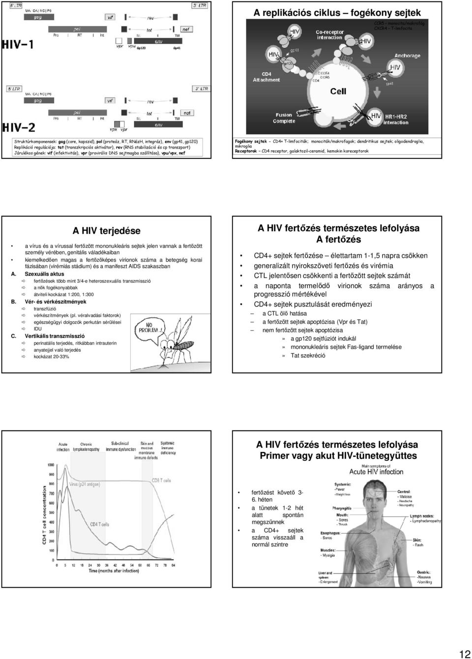 CD4+ T-limfociták; monociták/makrofagok; dendritikus sejtek; oligodendroglia, mikroglia Receptorok CD4 receptor, galaktozil-ceramid, kemokin koreceptorok A HIV terjedése a vírus és a vírussal