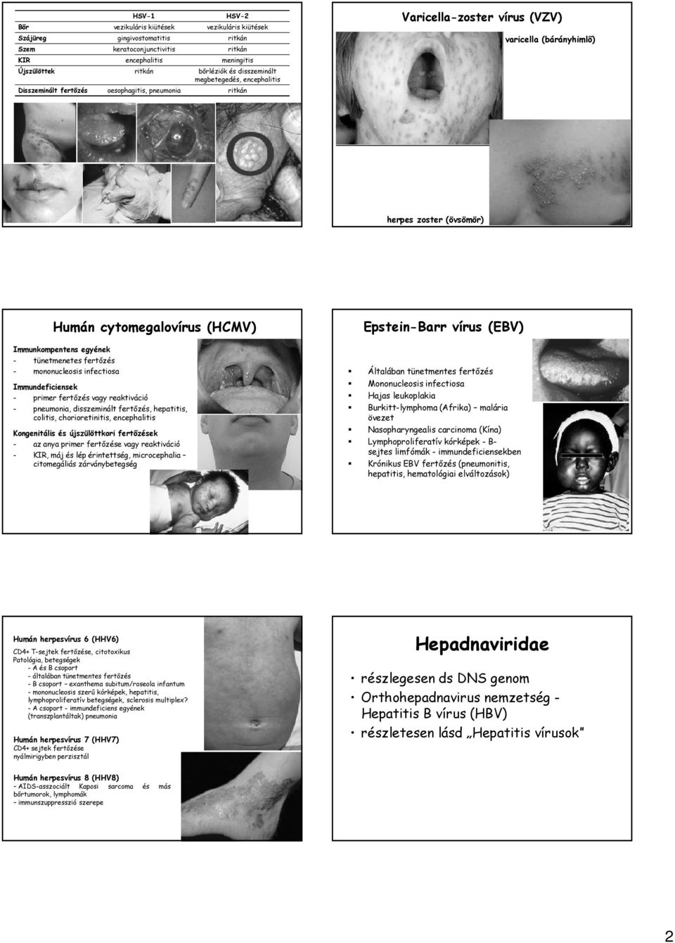 Immunkompentens egyének - tünetmenetes fertőzés - mononucleosis infectiosa Immundeficiensek - primer fertőzés vagy reaktiváció - pneumonia, disszeminált fertőzés, hepatitis, colitis, chorioretinitis,