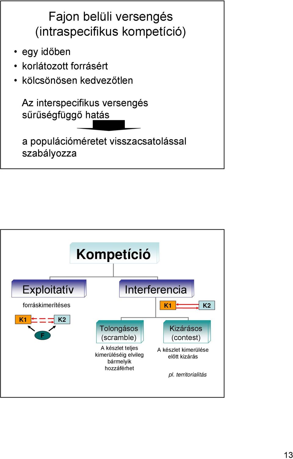 Exploitatív forráskimerítéses Interferencia K1 K2 K1 F K2 Tolongásos (scramble) Kizárásos (contest) A