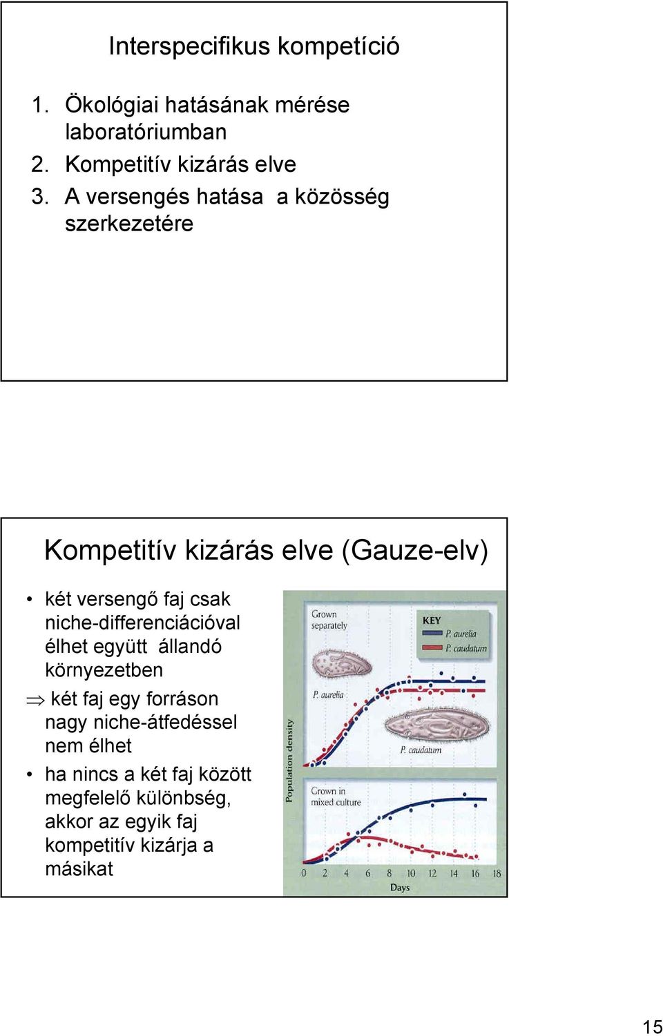 niche-differenciációval élhet együtt állandó környezetben két faj egy forráson nagy niche-átfedéssel