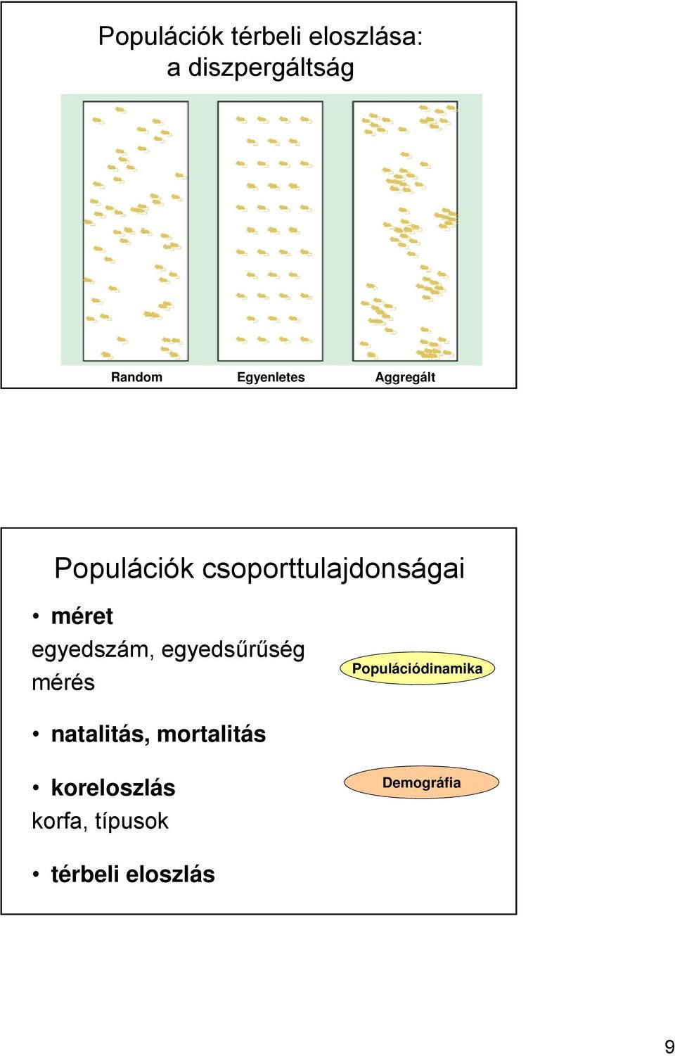 egyedszám, egyedsűrűség mérés Populációdinamika natalitás,