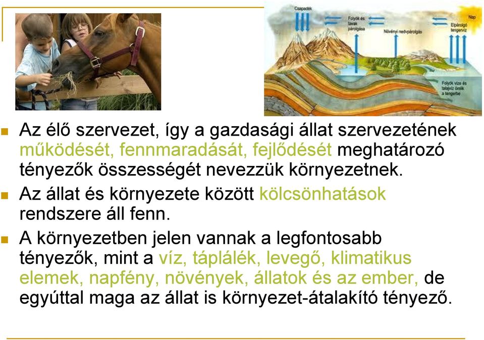 Az állat és környezete között kölcsönhatások rendszere áll fenn.