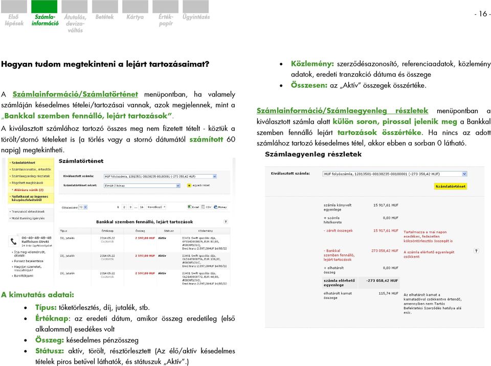 A kiválasztott számlához tartozó összes meg nem fizetett tételt - köztük a törölt/stornó tételeket is (a törlés vagy a stornó dátumától számított 60 napig) megtekintheti.