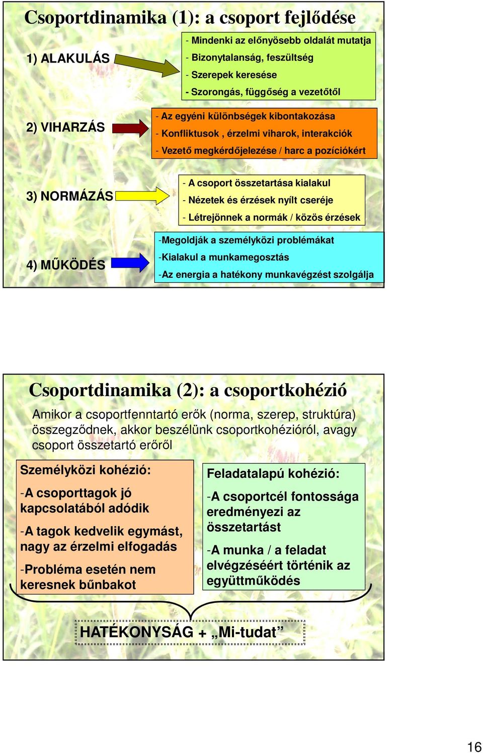 érzések nyílt cseréje - Létrejönnek a normák / közös érzések -Megoldják a személyközi problémákat -Kialakul a munkamegosztás -Az energia a hatékony munkavégzést szolgálja Csoportdinamika (2): a