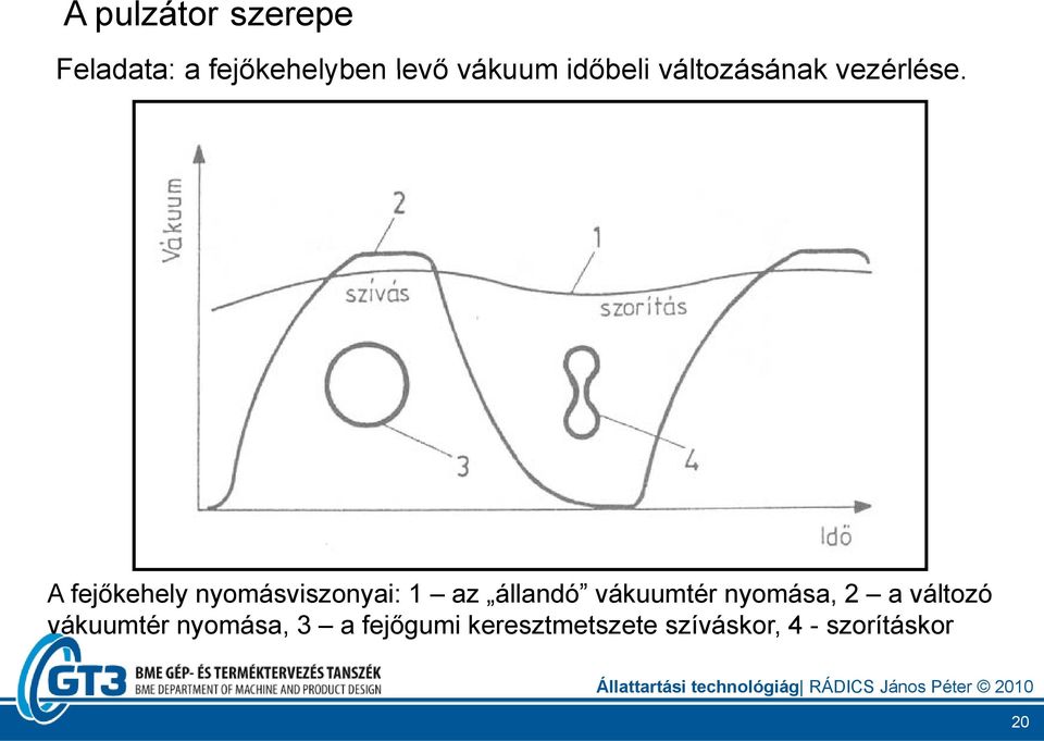 A fejőkehely nyomásviszonyai: 1 az állandó vákuumtér