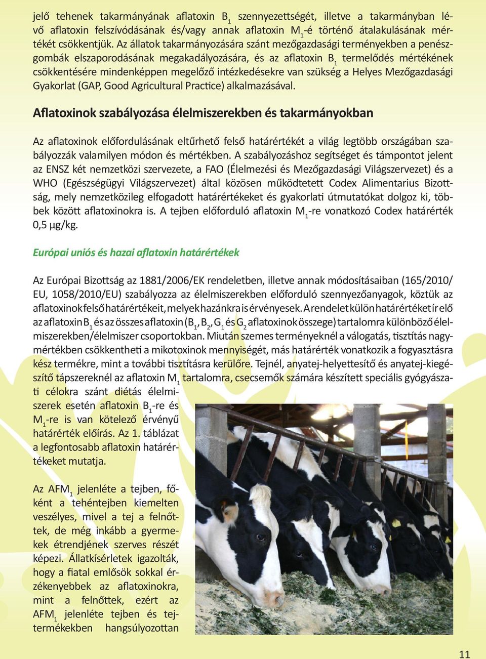 intézkedésekre van szükség a Helyes Mezőgazdasági Gyakorlat (GAP, Good Agricultural Practice) alkalmazásával.