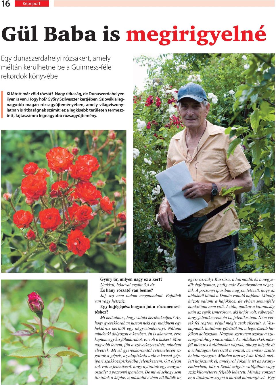 Győry Szilveszter kertjében, Szlovákia legnagyobb magán rózsagyűjteményében, amely világviszonylatban is ritkaságnak számít: ez a legkisebb területen termesztett, fajtaszámra legnagyobb
