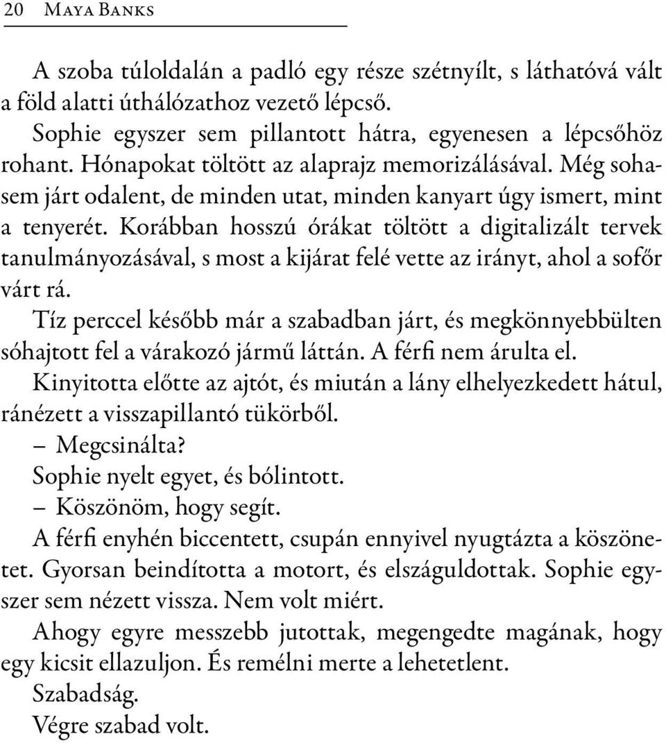 Korábban hosszú órákat töltött a digitalizált tervek tanul mányozásával, s most a kijárat felé vette az irányt, ahol a sofőr várt rá.