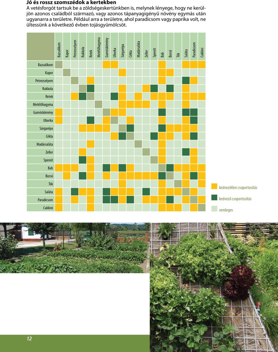 Bazsalikom Kapor Petrezselyem Rukkola Retek Metélőhagyma Gumóskömény Uborka Sárgarépa Cékla Madársaláta Zeller Spenót Bab Borsó Tök Saláta Paradicsom Cukkini Bazsalikom Kapor