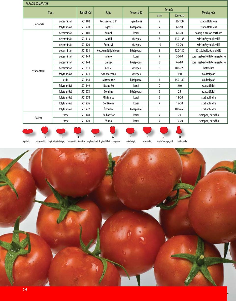 50-70 sűrítménynek kiváló determinált 501131 Kecskeméti jubileum középkorai 3 120-130 jó ízű, befőzésre kiváló determinált 501143 Mano korai 7 50-60 korai szabadföldi termesztésre determinált 501144