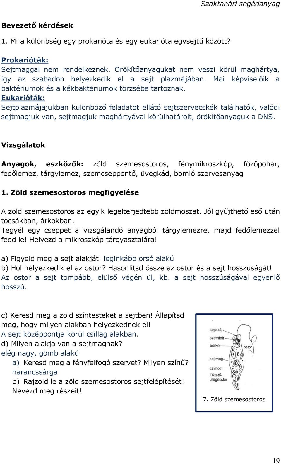 Eukarióták: Sejtplazmájájukban különböző feladatot ellátó sejtszervecskék találhatók, valódi sejtmagjuk van, sejtmagjuk maghártyával körülhatárolt, örökítőanyaguk a DNS.