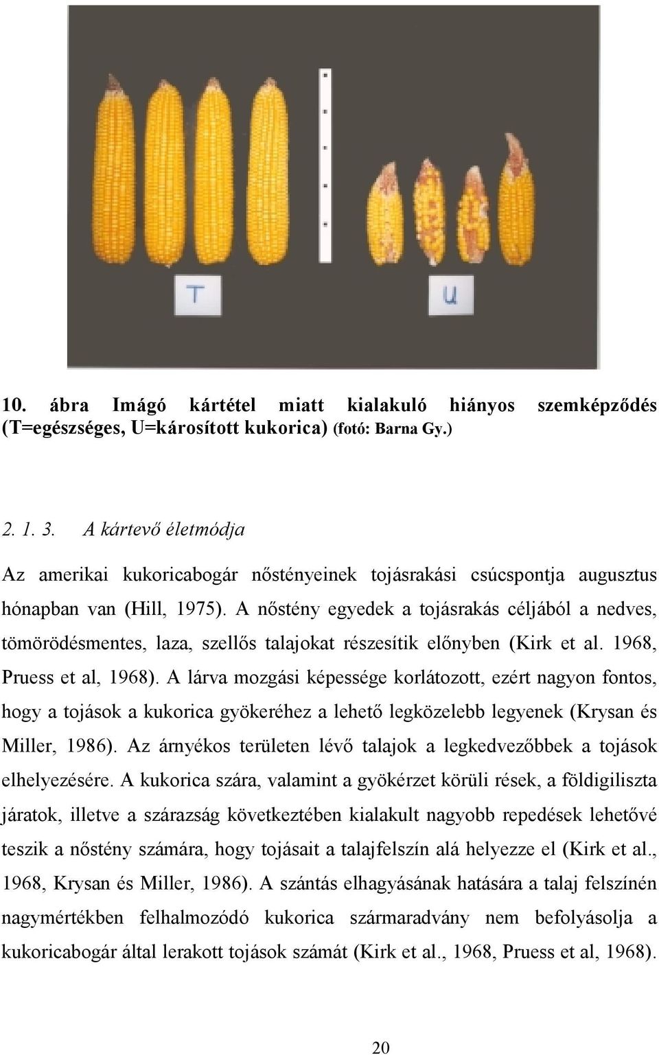 A nőstény egyedek a tojásrakás céljából a nedves, tömörödésmentes, laza, szellős talajokat részesítik előnyben (Kirk et al. 1968, Pruess et al, 1968).