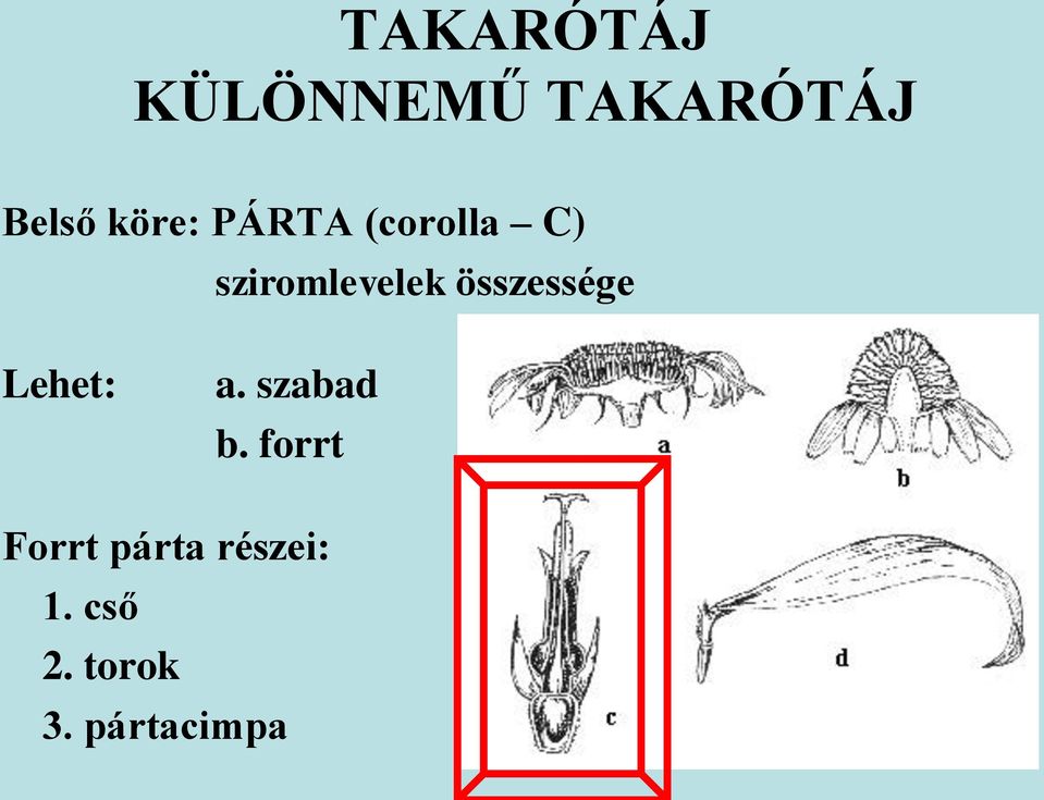 összessége Lehet: a. szabad b.