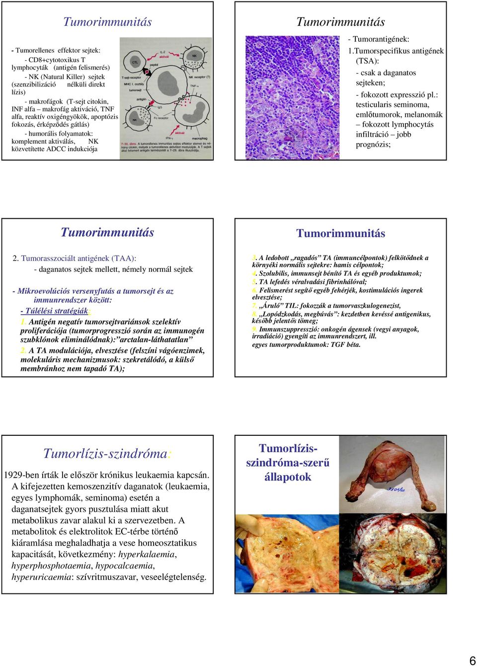 Tumorantigének: 1.Tumorspecifikus antigének (TSA): - csak a daganatos sejteken; - fokozott expresszió pl.