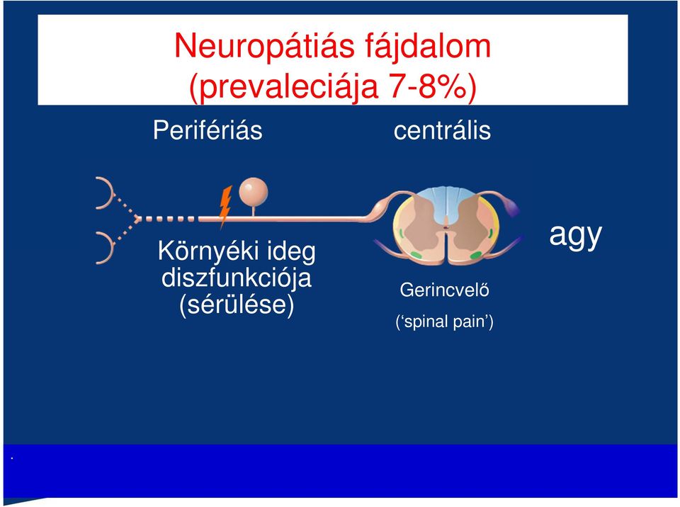 centrális Környéki ideg