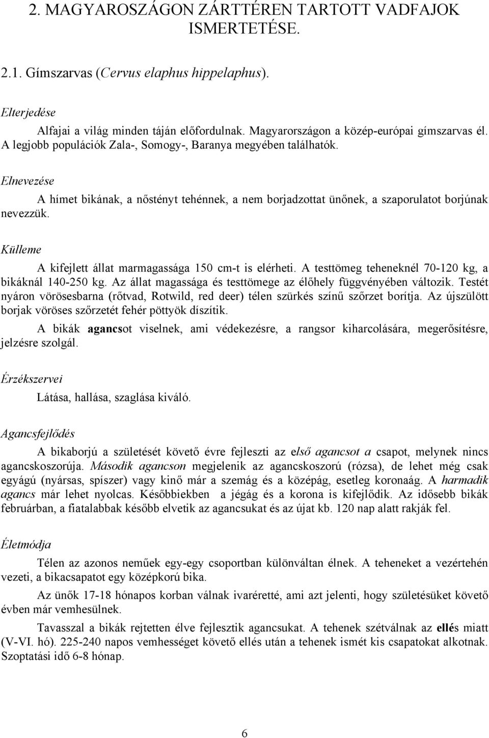 Elnevezése A hímet bikának, a nőstényt tehénnek, a nem borjadzottat ünőnek, a szaporulatot borjúnak nevezzük. Külleme A kifejlett állat marmagassága 150 cm-t is elérheti.