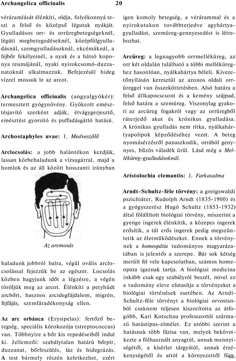 nyirokcsomó-duzzanatoknál alkalmazzuk. Befejezésül hideg vízzel mossuk le az arcot. Archangelica officinalis (angyalgyökér): termesztett gyógynövény.