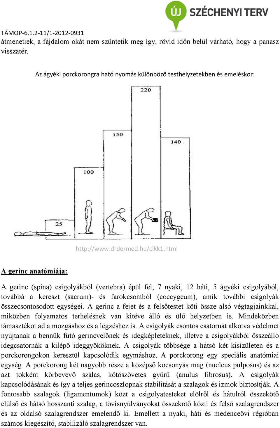 html A gerinc anatómiája: A gerinc (spina) csigolyákból (vertebra) épül fel; 7 nyaki, 12 háti, 5 ágyéki csigolyából, továbbá a kereszt (sacrum)- és farokcsontból (coccygeum), amik további csigolyák