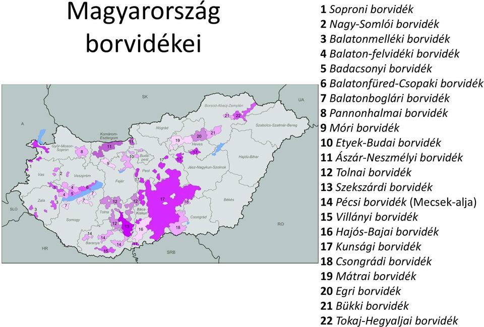 Ászár-Neszmélyi borvidék 12 Tolnai borvidék 13 Szekszárdi borvidék 14 Pécsi borvidék (Mecsek-alja) 15 Villányi borvidék 16