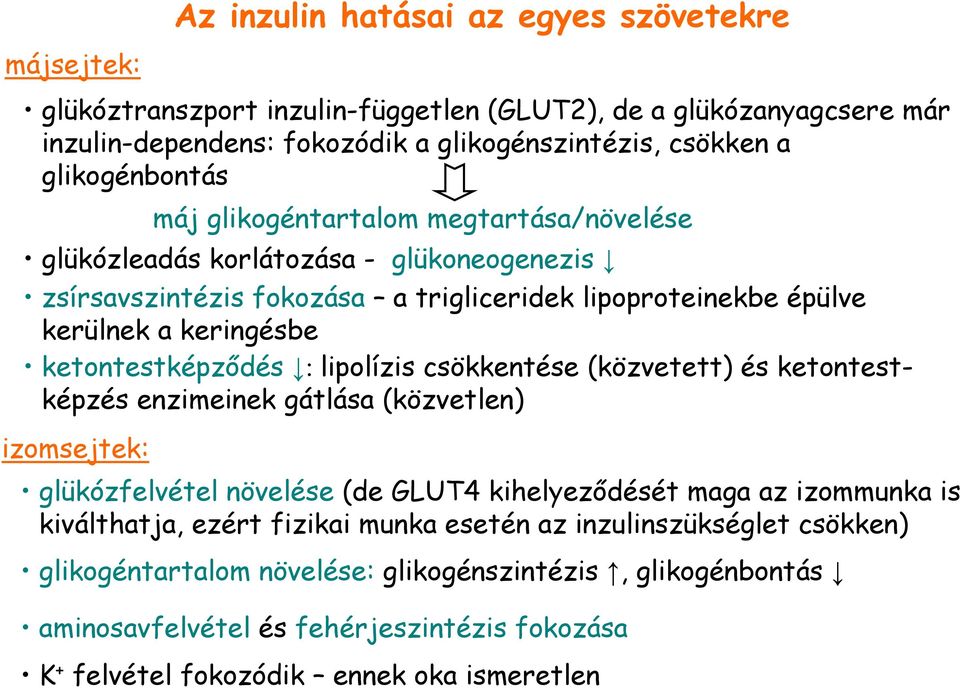 keringésbe ketontestképzıdés : lipolízis csökkentése (közvetett) és ketontestképzés enzimeinek gátlása (közvetlen) glükózfelvétel növelése (de GLUT4 kihelyezıdését maga az izommunka is