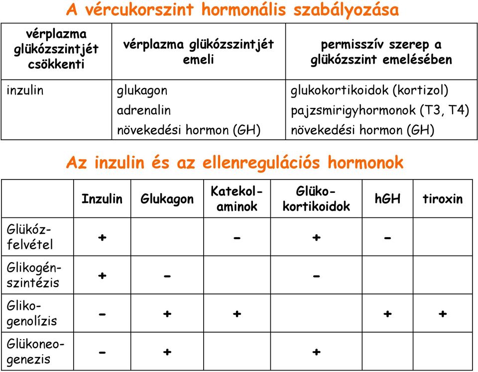 pajzsmirigyhormonok (T3, T4) növekedési hormon (GH) Az inzulin és az ellenregulációs hormonok Inzulin Glukagon