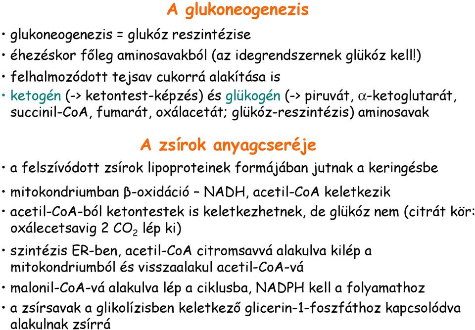 anyagcseréje a felszívódott zsírok lipoproteinek formájában jutnak a keringésbe mitokondriumban β-oxidáció NADH, acetil-coa keletkezik acetil-coa-ból ketontestek is keletkezhetnek, de glükóz nem