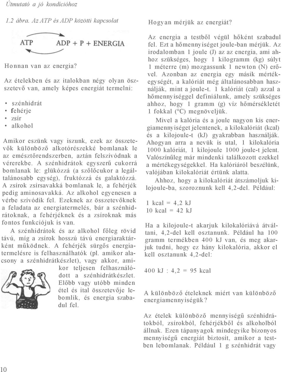 le az emésztőrendszerben, aztán felszívódnak a vérerekbe. A szénhidrátok egyszerű cukorrá bomlanak le: glükózzá (a szőlőcukor a legáltalánosabb egység), fruktózzá és galaktózzá.