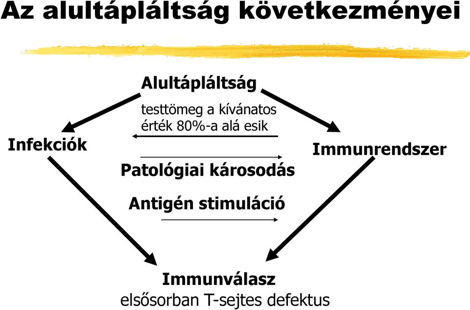 alá esik Patológiai károsodás Antigén stimuláció