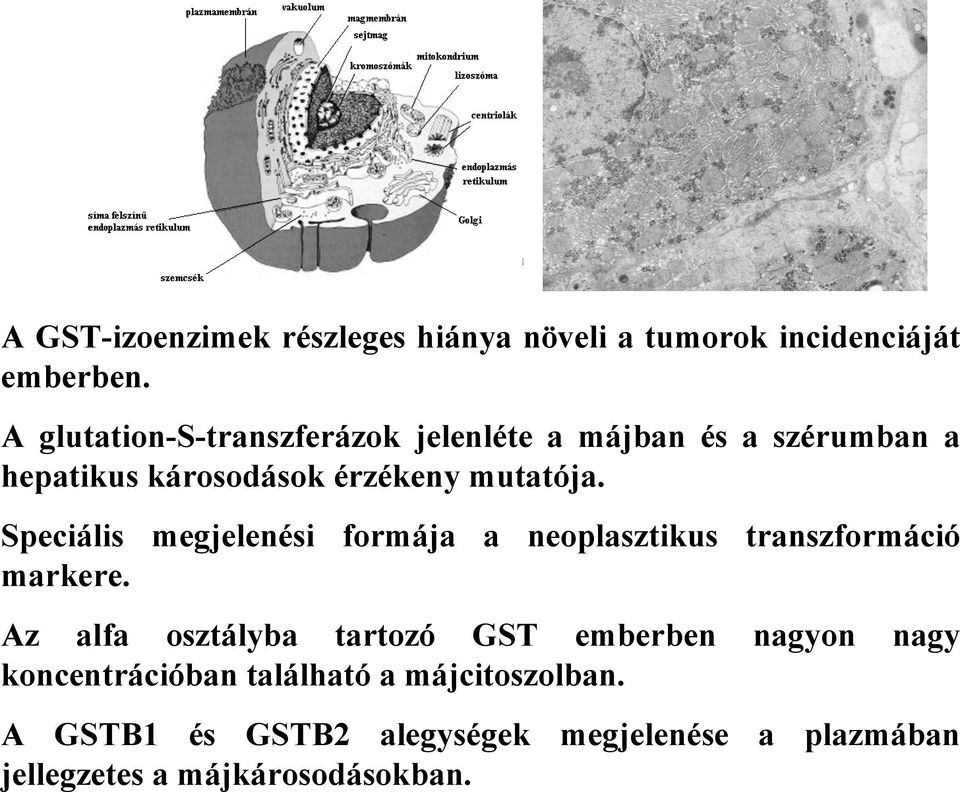 Speciális megjelenési formája a neoplasztikus markere.