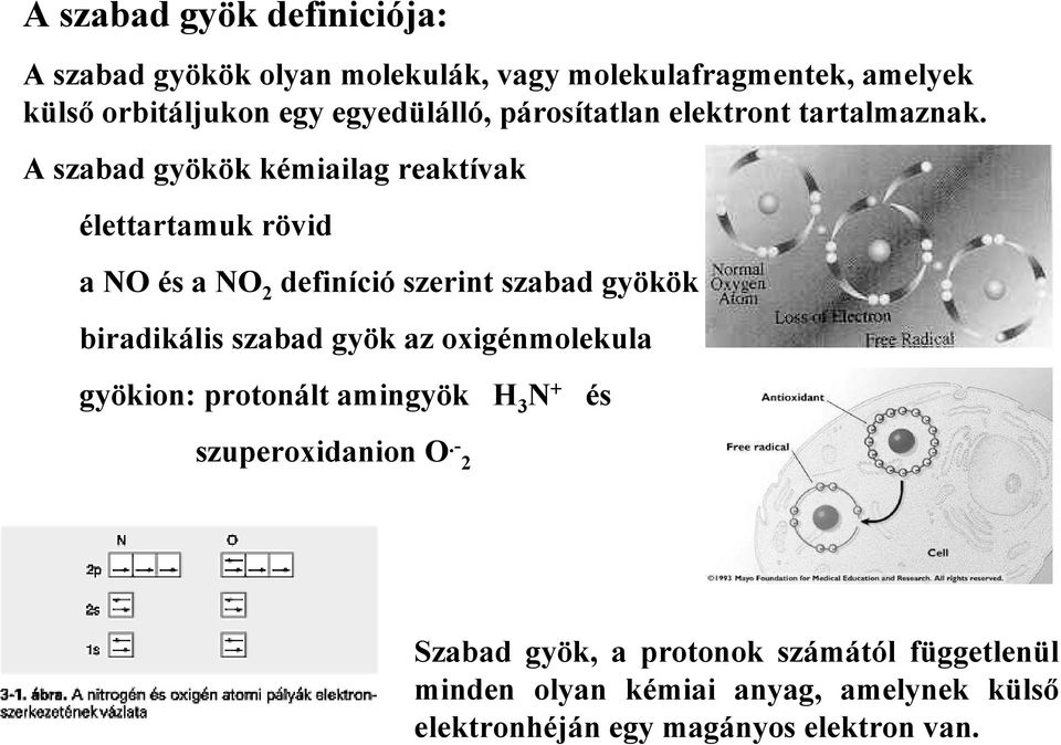 A szabad gyökök kémiailag reaktívak élettartamuk rövid a NO és a NO 2 definíció szerint szabad gyökök biradikális szabad