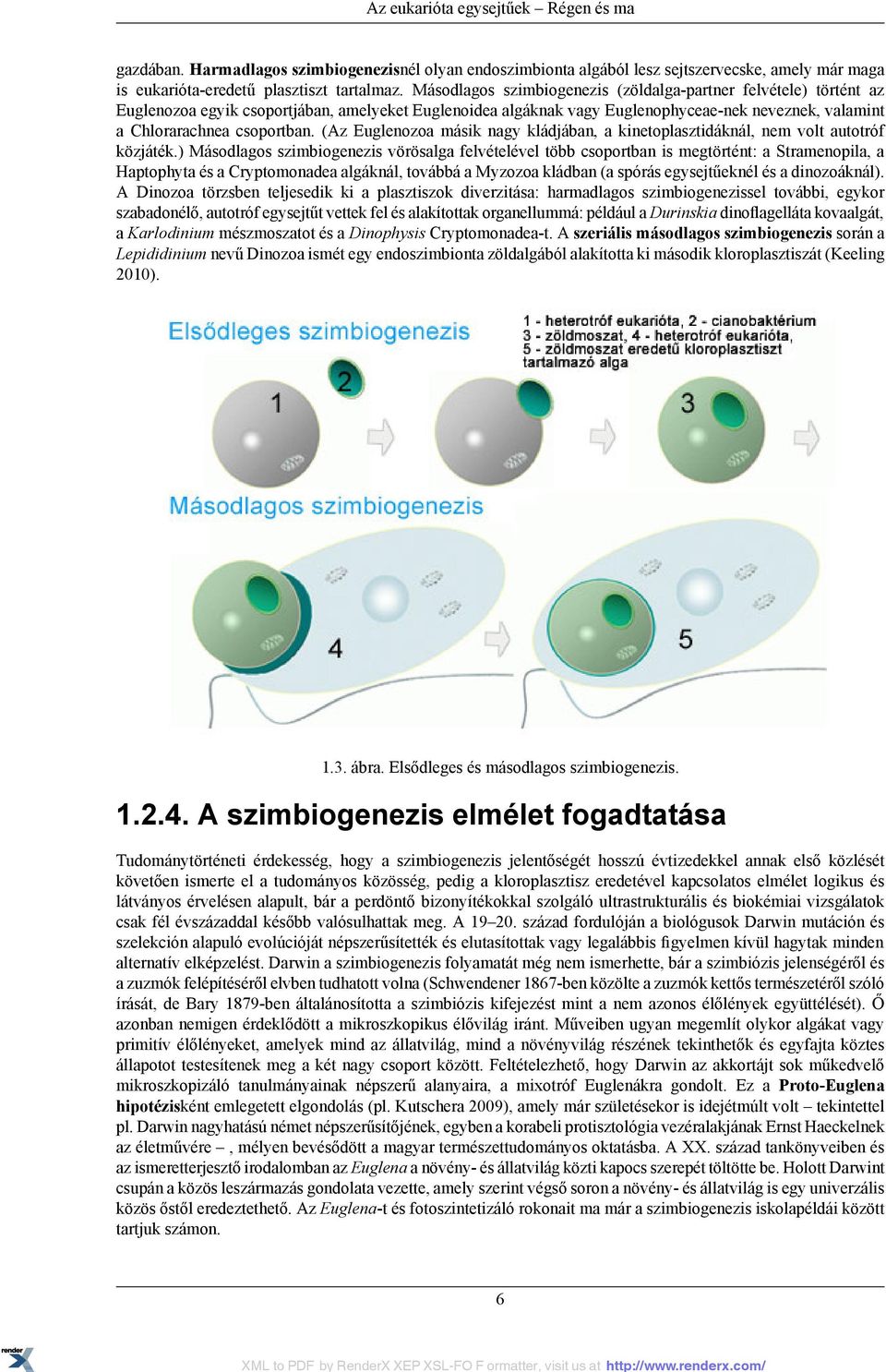 (Az Euglenozoa másik nagy kládjában, a kinetoplasztidáknál, nem volt autotróf közjáték.
