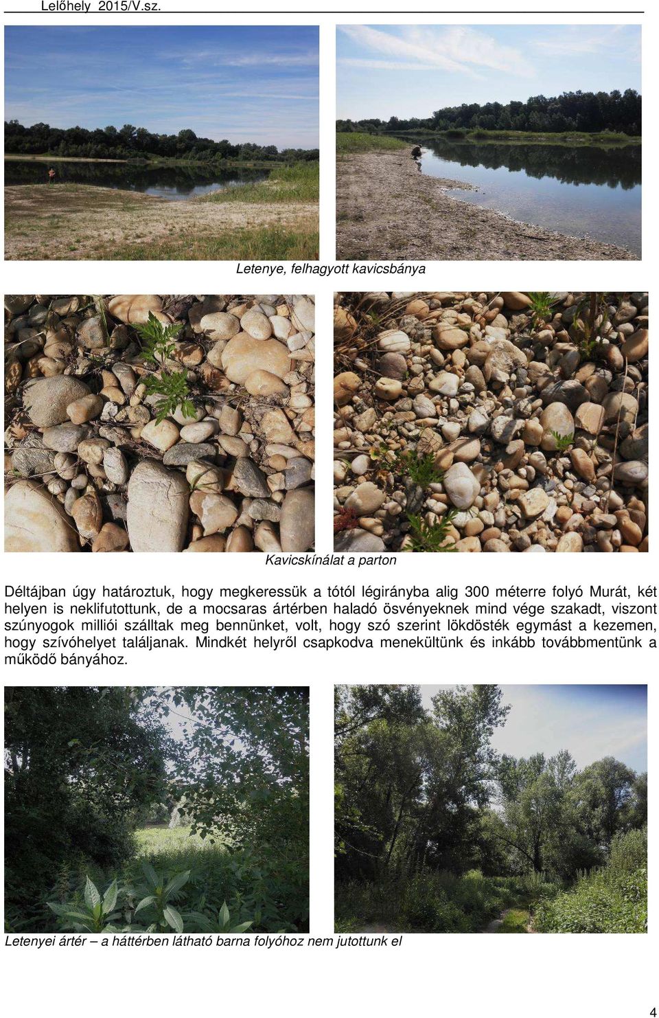 milliói szálltak meg bennünket, volt, hogy szó szerint lökdösték egymást a kezemen, hogy szívóhelyet találjanak.
