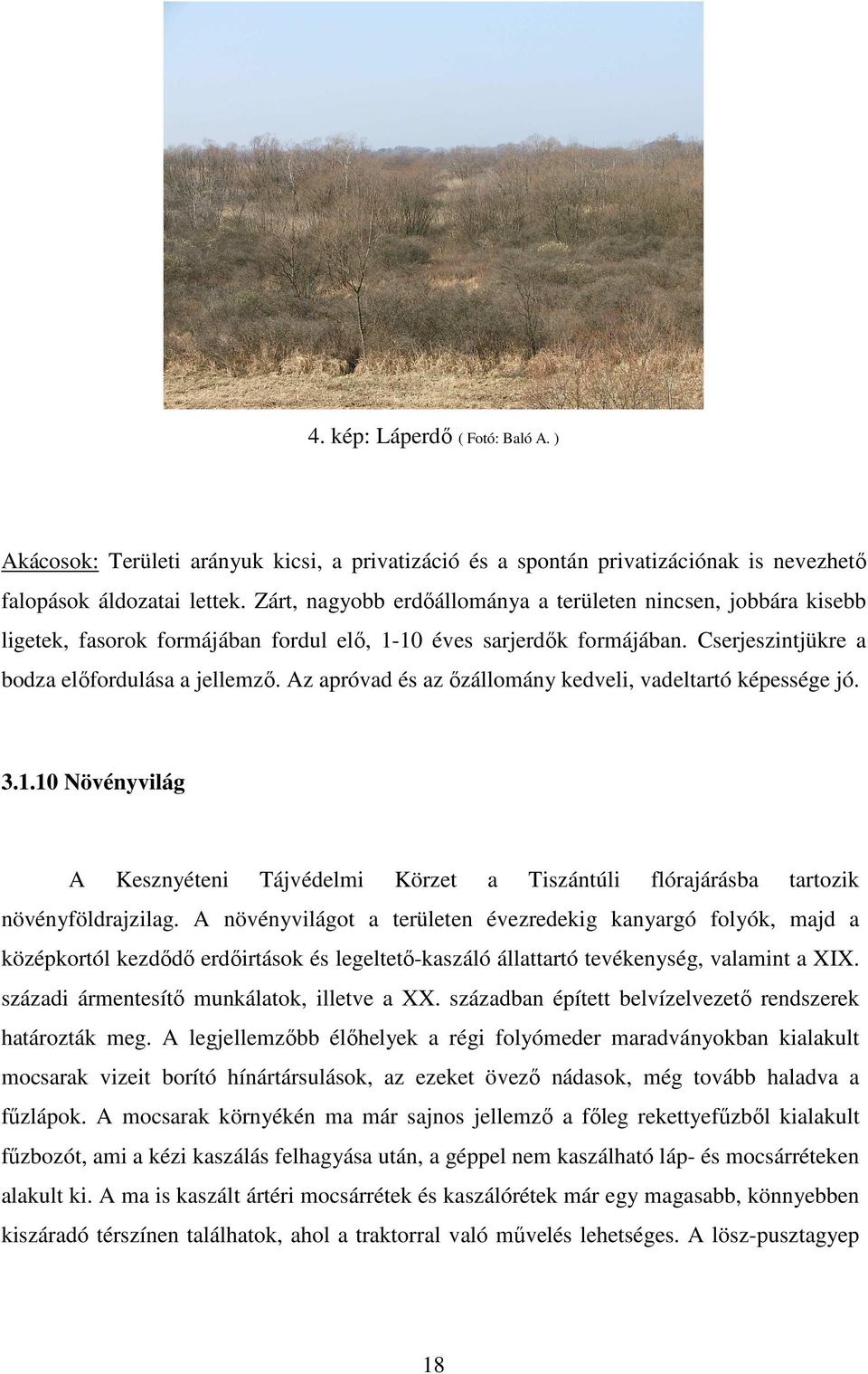 Az apróvad és az ızállomány kedveli, vadeltartó képessége jó. 3.1.10 Növényvilág A Kesznyéteni Tájvédelmi Körzet a Tiszántúli flórajárásba tartozik növényföldrajzilag.