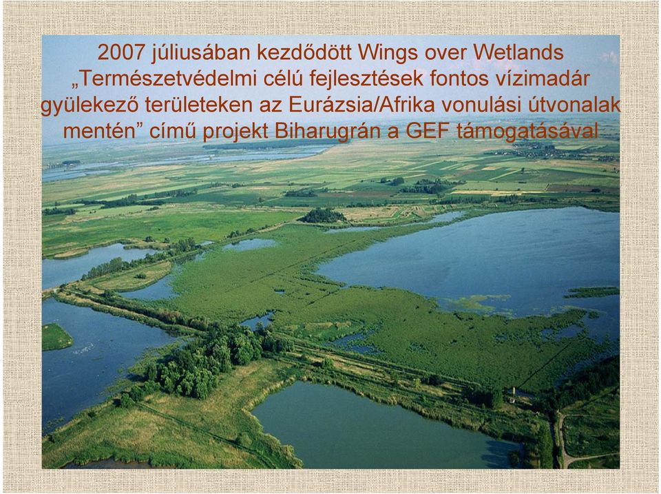 gyülekező területeken az Eurázsia/Afrika vonulási