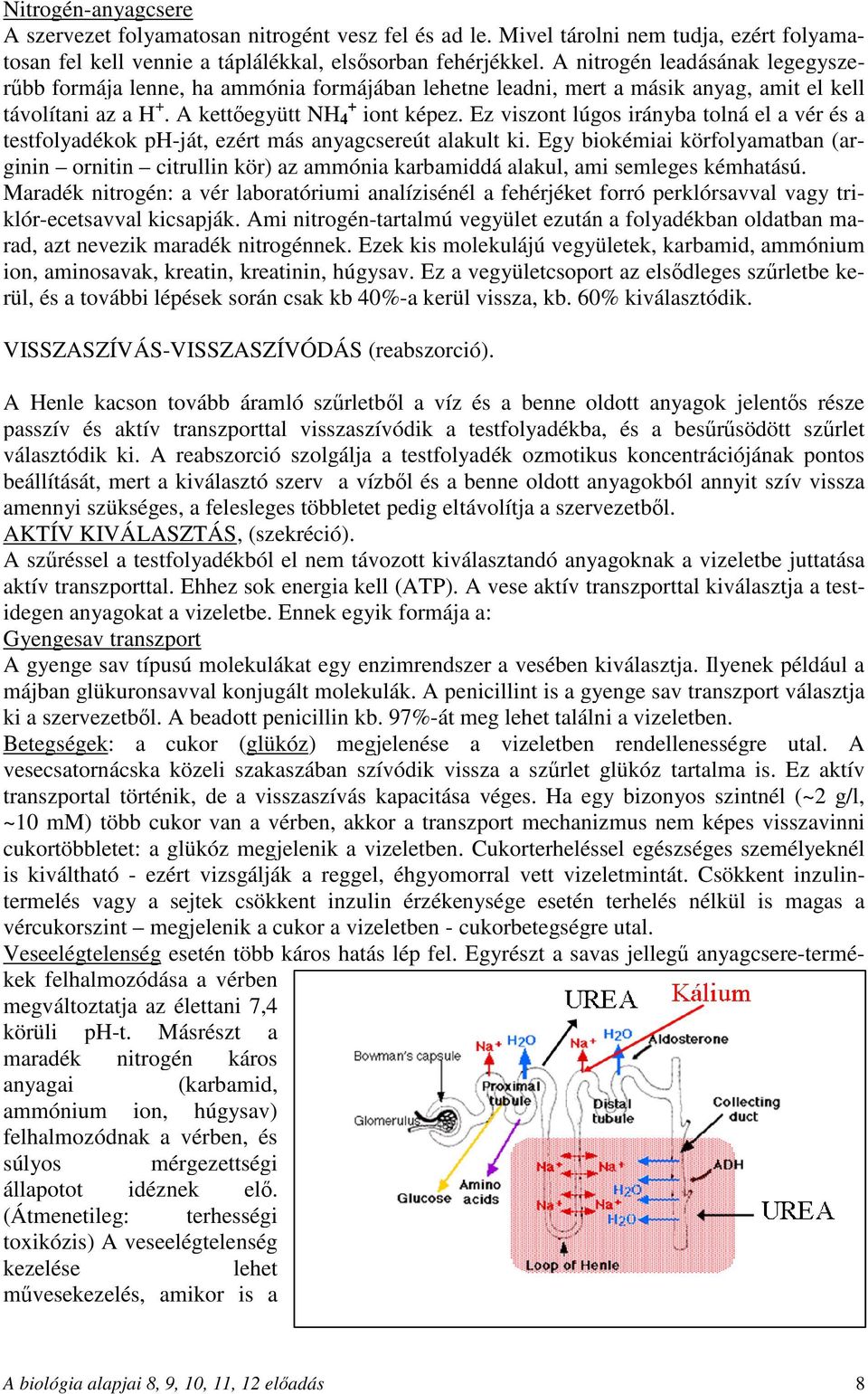 Ez viszont lúgos irányba tolná el a vér és a testfolyadékok ph-ját, ezért más anyagcsereút alakult ki.