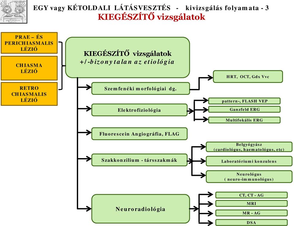 Elektrfizilógia HRT, OCT, Gdx Vvc pattern-, FLASH VEP Ganzfeld ERG Multifkális ERG Flurescein Angigráfia, FLAG Szakknzilium