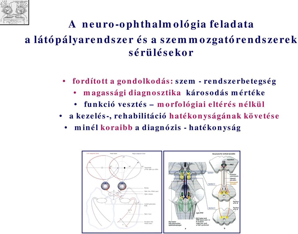 diagnsztika, kársdás mértéke funkció vesztés mrflógiai eltérés nélkül a