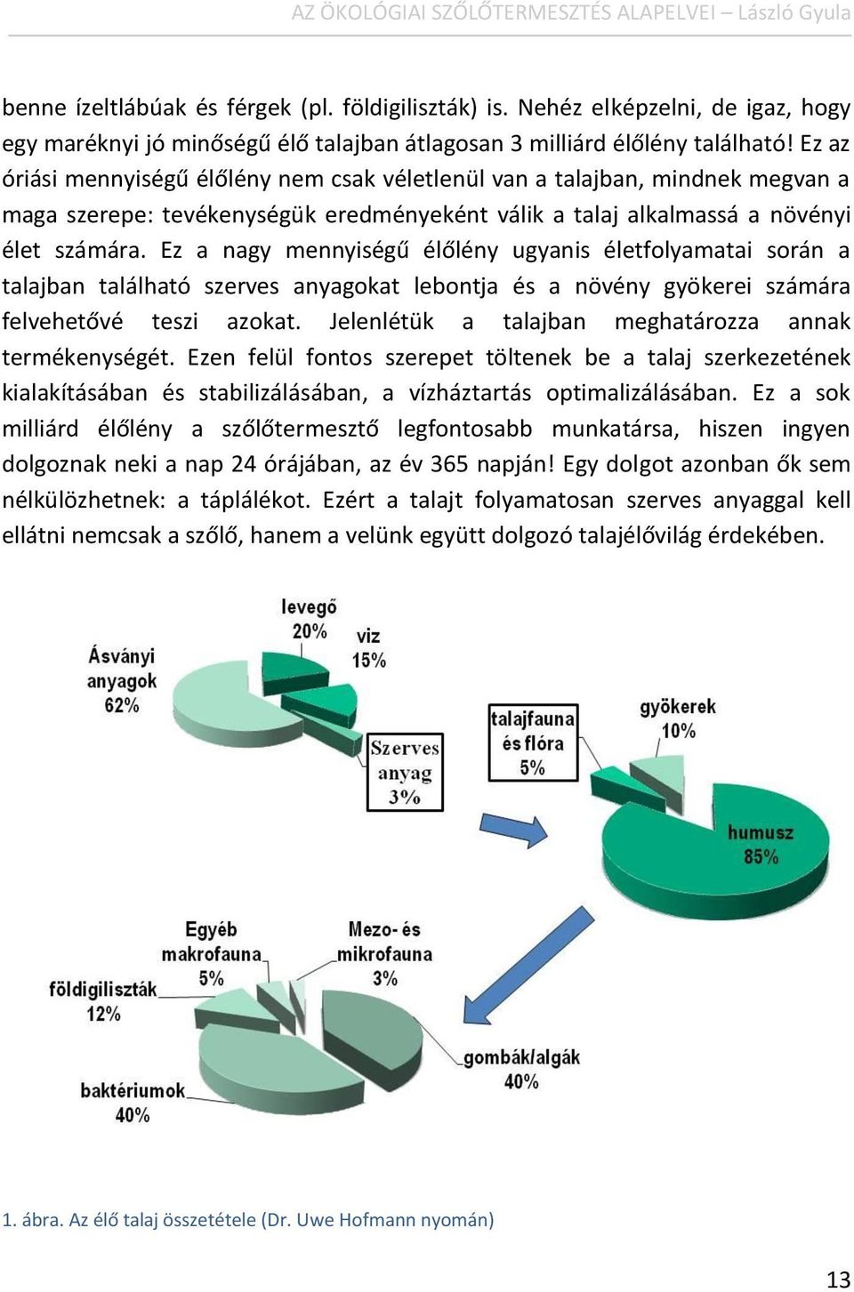 Ez az óriási mennyiségű élőlény nem csak véletlenül van a talajban, mindnek megvan a maga szerepe: tevékenységük eredményeként válik a talaj alkalmassá a növényi élet számára.