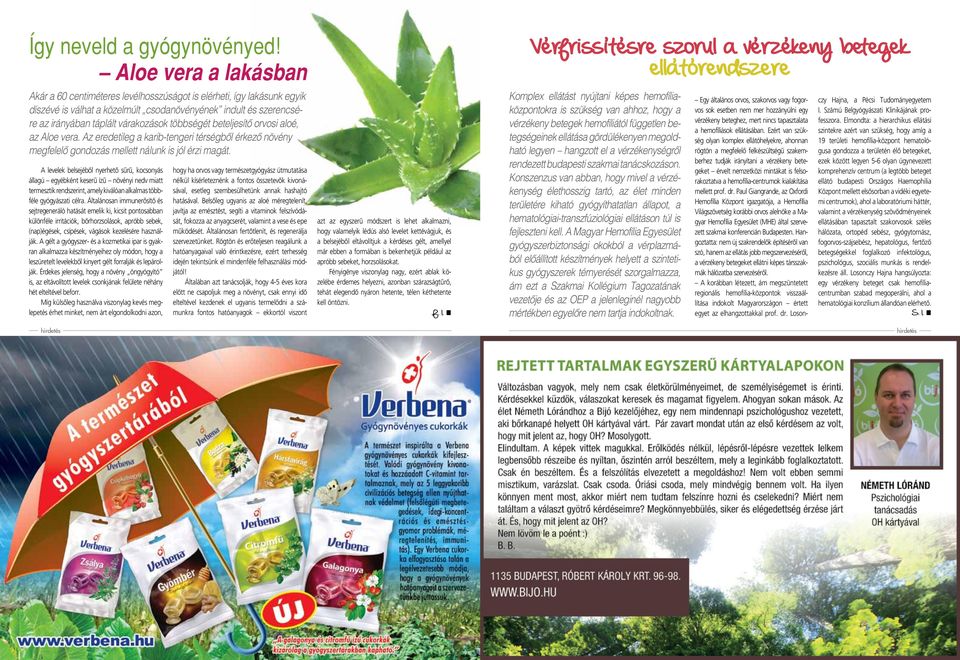 többségét beteljesítô orvosi aloé, az Aloe vera. Az eredetileg a karib-tengeri térségbôl érkezô növény megfelelô gondozás mellett nálunk is jól érzi magát.