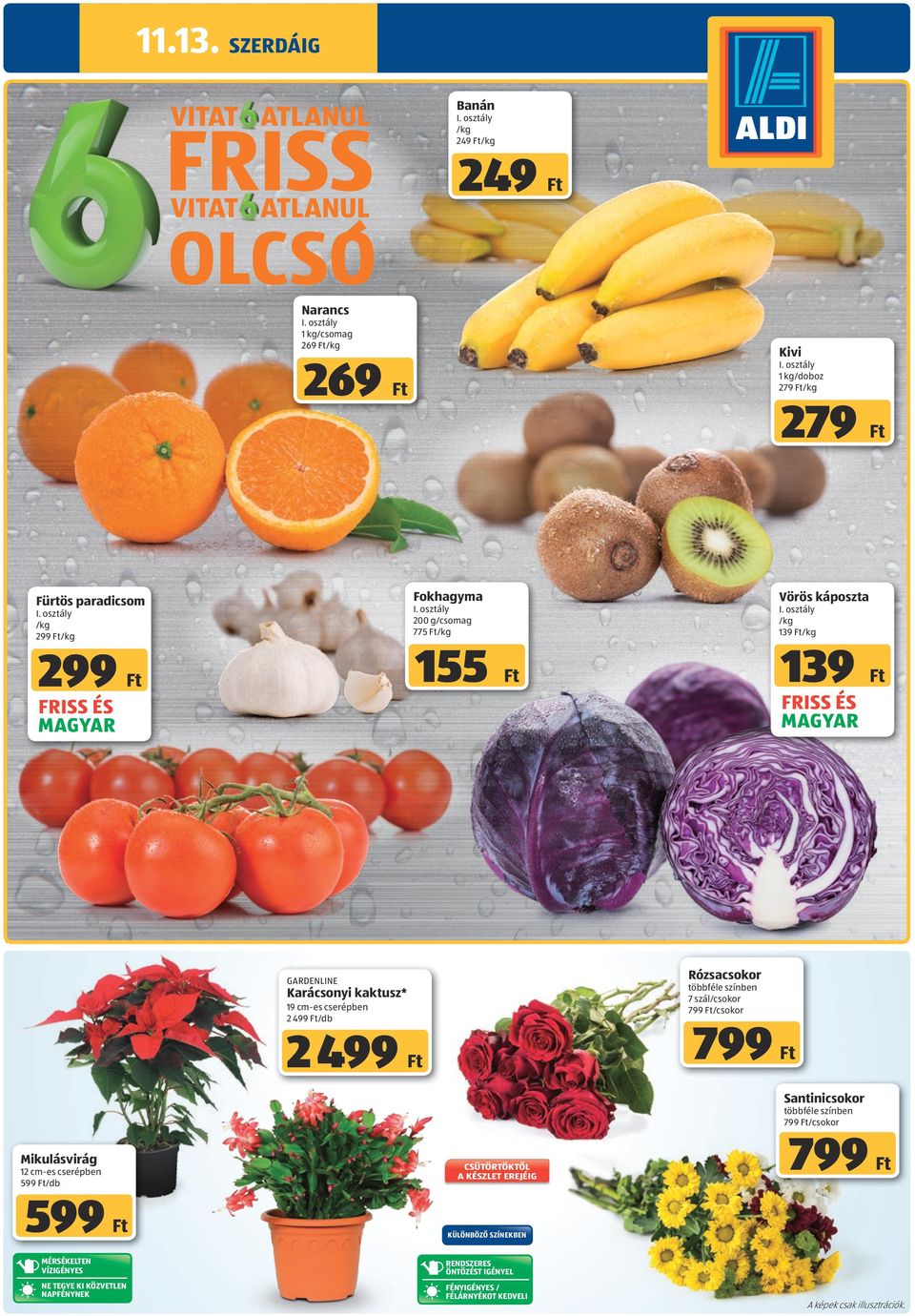 osztály /kg 139 /kg 139 Rózsacsokor gardenline színben 7 szál/csokor /csokor Karácsonyi kaktusz* 19 cm-es cserépben 2 499 /db 2 499 Santinicsokor