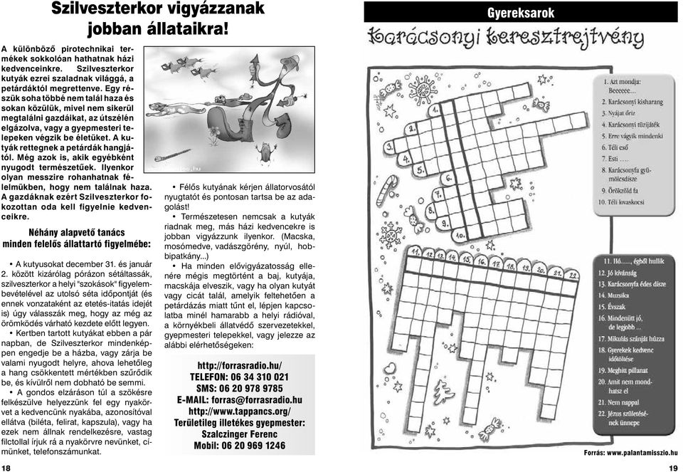 A kutyák rettegnek a petárdák hangjától. Még azok is, akik egyébként nyugodt természetűek. Ilyenkor olyan messzire rohanhatnak félelmükben, hogy nem találnak haza.