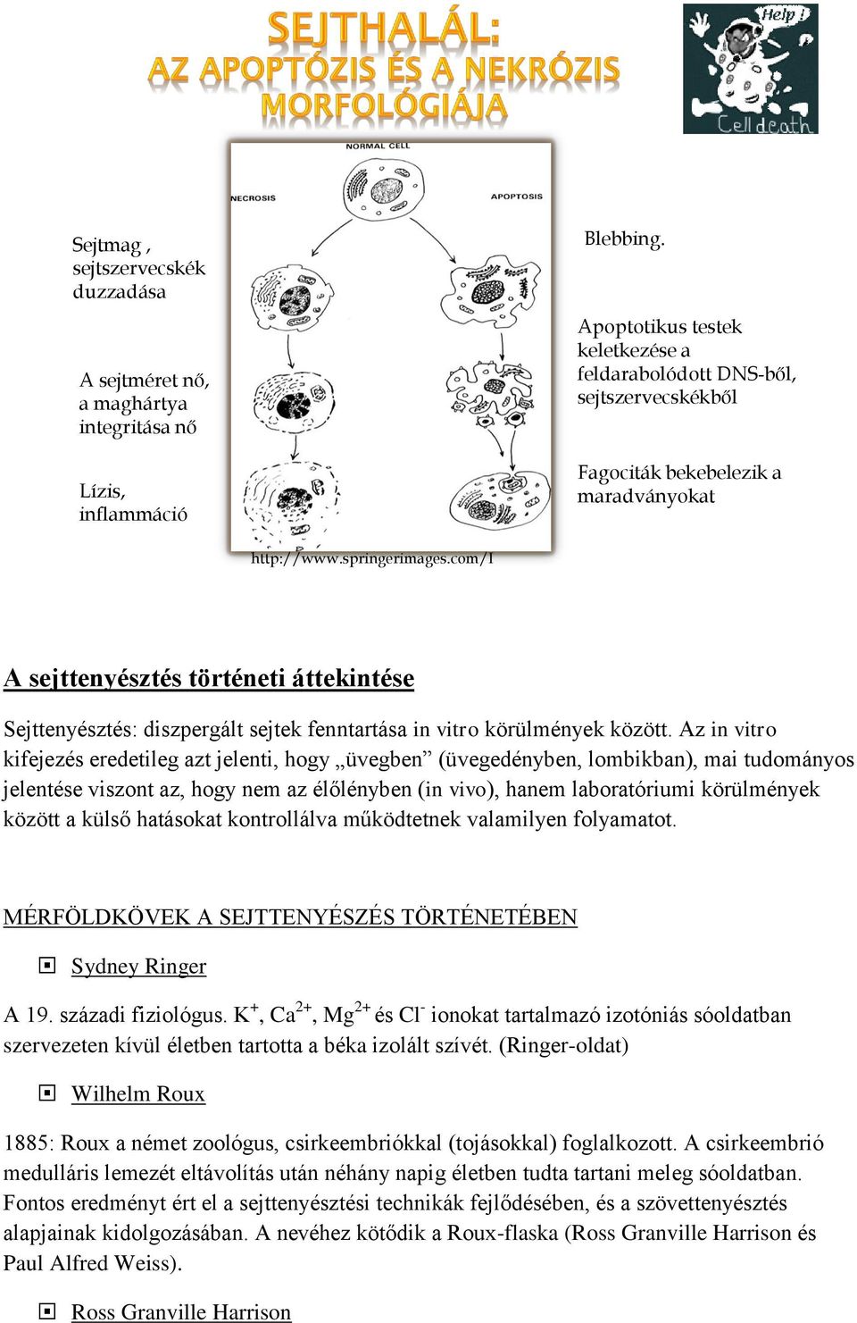 Az in vitro kifejezés eredetileg azt jelenti, hogy üvegben (üvegedényben, lombikban), mai tudományos jelentése viszont az, hogy nem az élőlényben (in vivo), hanem laboratóriumi körülmények között a