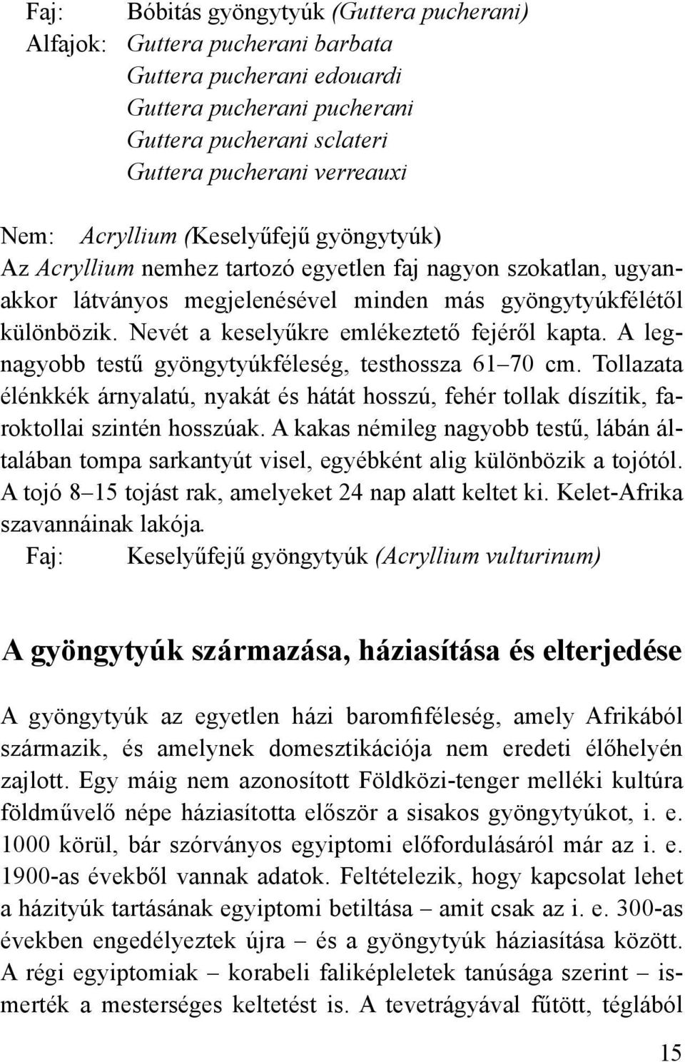 Nevét a keselyűkre emlékeztető fejéről kapta. A legnagyobb testű gyöngytyúkféleség, testhossza 61 70 cm.