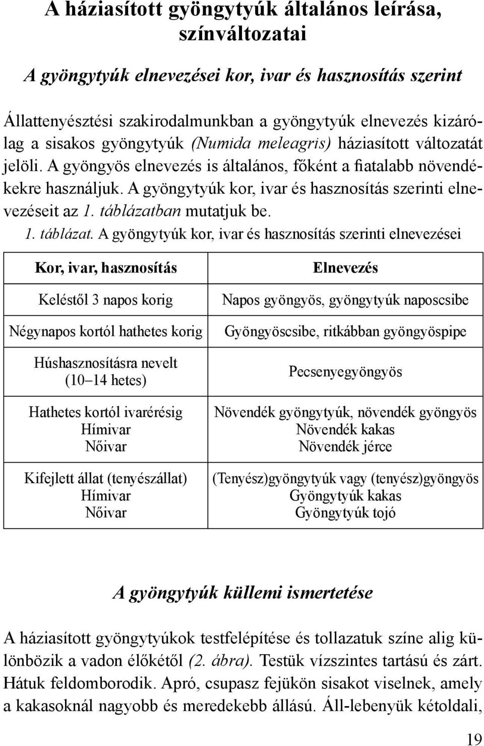 A gyöngytyúk kor, ivar és hasznosítás szerinti elnevezéseit az 1. táblázatb