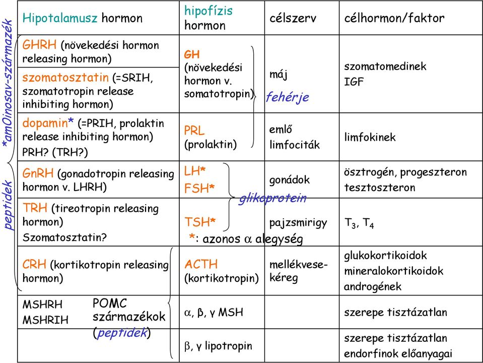 CRH (kortikotropin releasing hormon) MSHRH MSHRIH POMC származékok (peptidek) hipofízis hormon GH (növekedési hormon v.