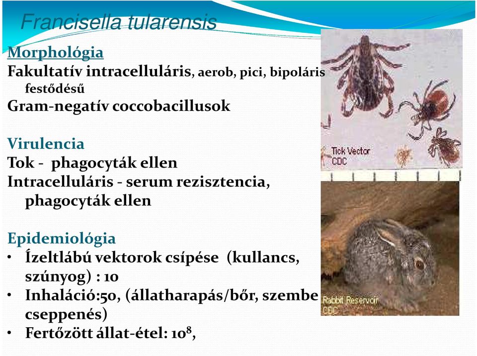 Intracelluláris-serumrezisztencia, phagocyták ellen Epidemiológia Ízeltlábú vektorok