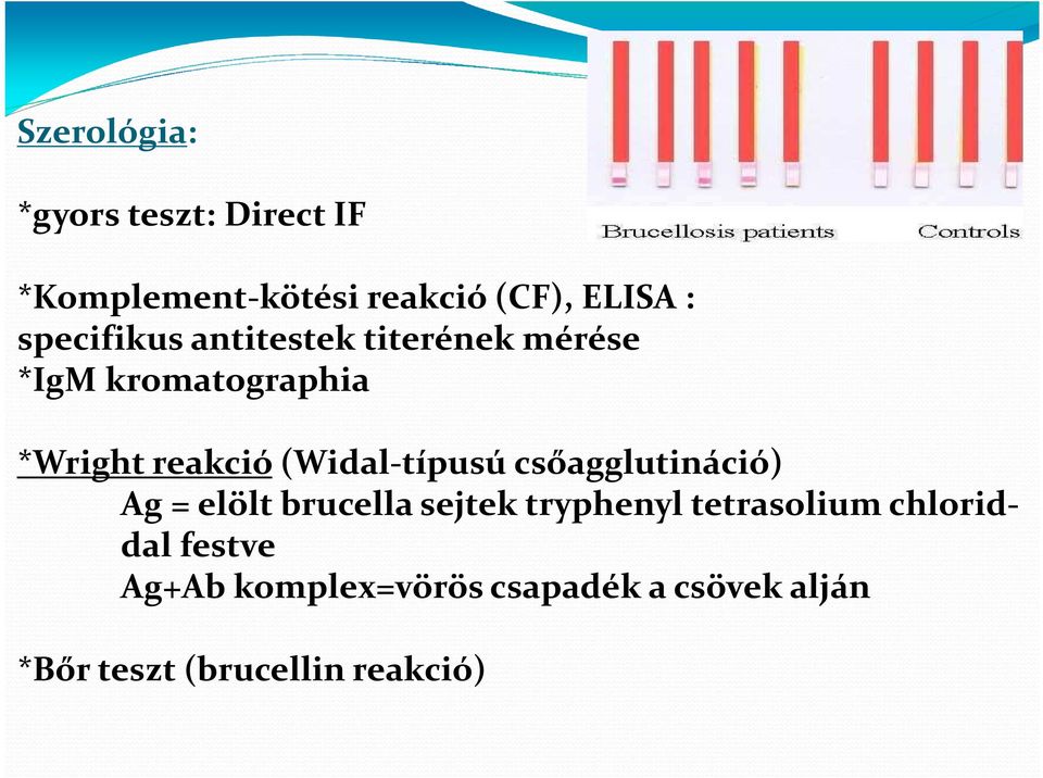 (Widal-típusú csőagglutináció) Ag = elölt brucella sejtek tryphenyl tetrasolium